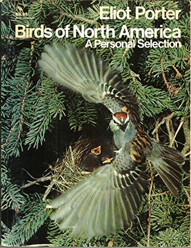 Birds of North America, a Personal Selection.
