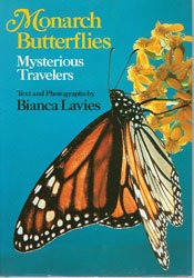 Monarch Butterflies, Mysterious Travelers