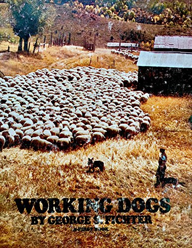 Working Dogs: A First Book
