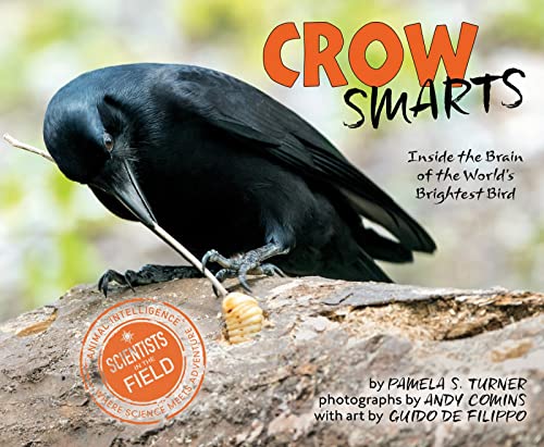 Crow Smarts: Inside the Brain of the World's Brightest Bird (Scientists in the Field)
Crow Smarts: Inside the Brain of the World's Brightest Bird (Scientists in the Field)