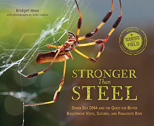 Stronger Than Steel: Spider Silk DNA and the Quest for Better Bulletproof Vests, Sutures, and Parachute Rope (Scientists in the Field)
Stronger Than Steel: Spider Silk DNA and the Quest for Better Bulletproof Vests, Sutures, and Parachute Rope (Scientists in the Field)