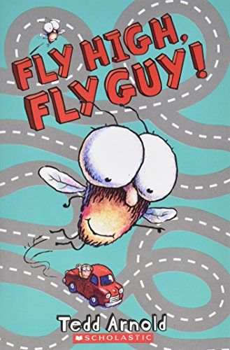 Fly High, Fly Guy! -- 2008 publication