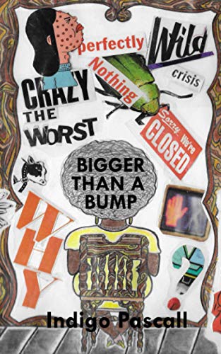 Bigger Than A Bump: Self Memoir by Indigo Pascall
