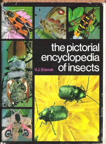 the pictorial encyclopedia of insects