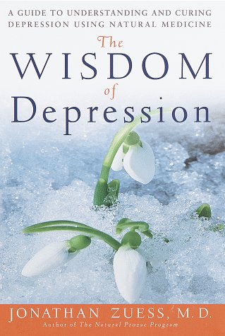 The Wisdom of Depression: A Guide to Understanding and Curing Depression Using Natural Medicine
The Wisdom of Depression: A Guide to Understanding and Curing Depression Using Natural Medicine