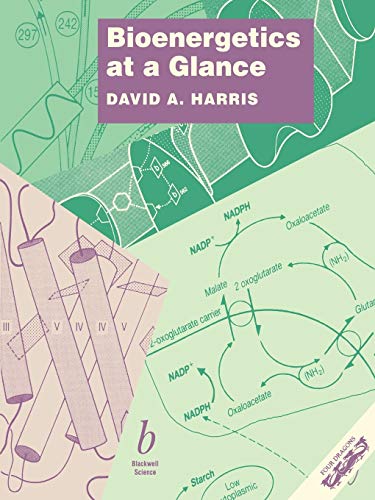 Bioenergetics at a Glance: An Illustrated Introduction