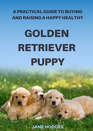 A Practical Guide to Buying and Raising A Happy Healthy Golden Retriever Puppy (Paperback or Softback)
A Practical Guide to Buying and Raising A Happy Healthy Golden Retriever Puppy (Paperback or Softback)