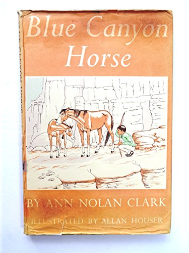 Blue Canyon Horse