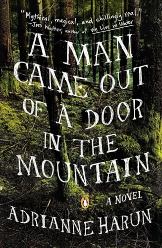 A Man Came Out of a Door in the Mountain