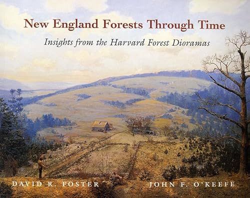 New England Forests Through Time : Insights from the Harvard Forest Dioramas