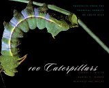 100 Caterpillars : Portraits from the Tropical Forests of Costa Rica