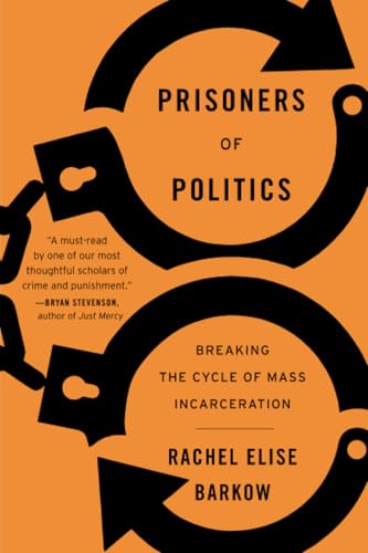 Prisoners of Politics : Breaking the Cycle of Mass Incarceration