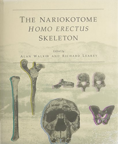 The Nariokotome Home Erectus Skeleton