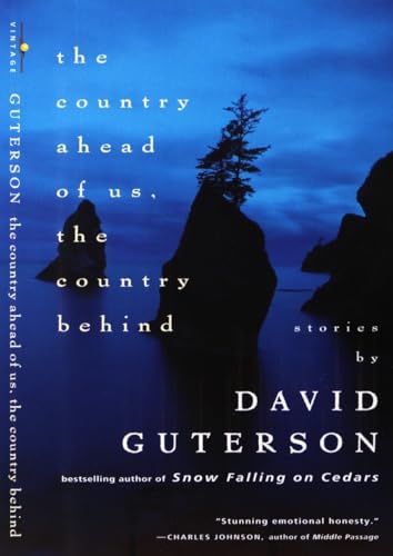 THE COUNTRY AHEAD OF US, THE COUNTRY BEHIND: stories (Signed)