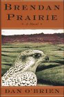 Brendan Prairie: A Novel