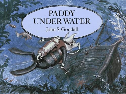 PADDY UNDER WATER