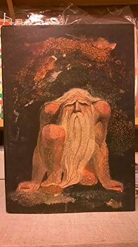 The Illuminated Books of William Blake, Volume 6 : The Urizen Books
