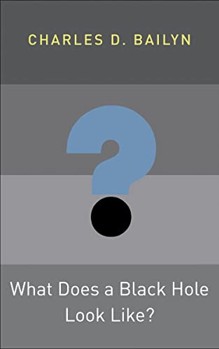 What Does a Black Hole Look Like