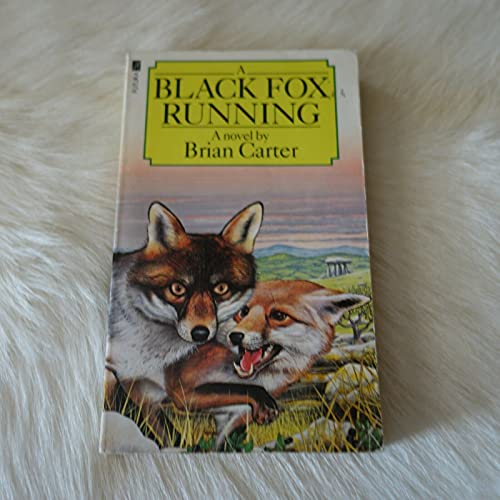 A Black Fox Running