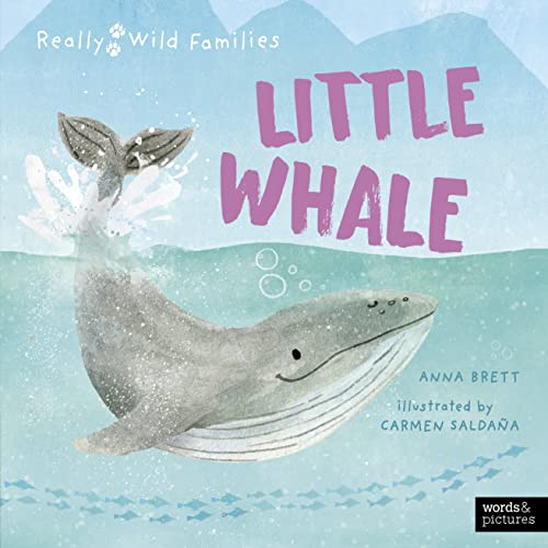 Little Whale: A Day in the Life of a Little Whale (Really Wild Families)