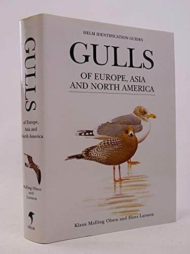 GULLS OF EUROPE, ASIA AND NORTH AMERICA