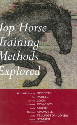 Top Horse Training Methods