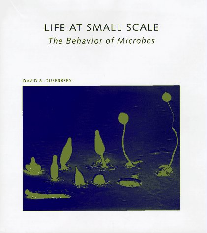 Life at Small Scale: The Behavior of Microbes
