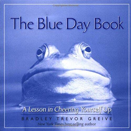 THE BLUE DAY BOOK, A LESSON IN CHEERING YOURSELF UP