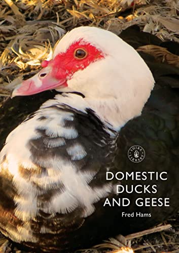 Domestic Ducks and Geese (Shire Album)