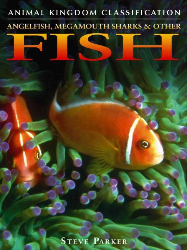 Angelfish, Megamouth Sharks, and Other Fish (Animal Kingdom Classification)