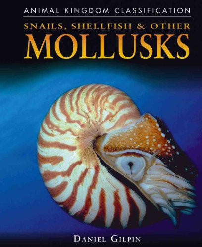Snails, Shellfish, and Other Mollusks (Animal Kingdom Classification)