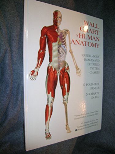 Wall Chart of Human Anatomy: 3D Full-Body Images and Detailed System Charts