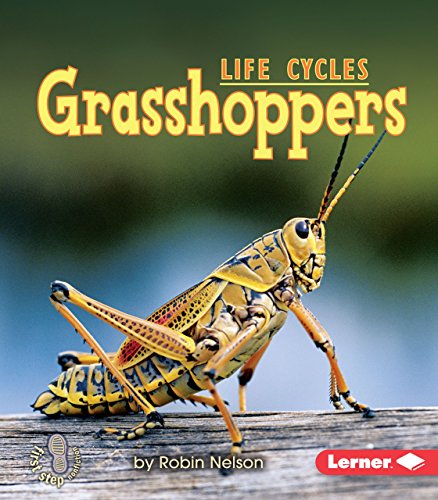 Grasshoppers (First Step Nonfiction Animal Life Cycles)