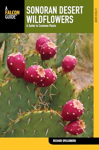 Sonoran Desert Wildflowers: A Guide To Common Plants (Wildflower Series)
Sonoran Desert Wildflowers: A Guide To Common Plants (Wildflower Series)