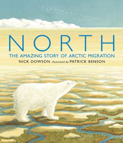North: the Amazing Story of Arct