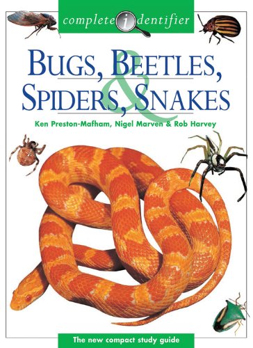 Bugs, Beetles, Spiders, Snakes.