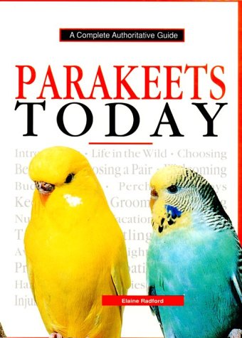 Parakeets Today