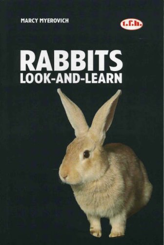 Rabbits : Look & Learn