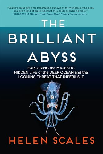 The Brilliant Abyss: Exploring the Majestic Hidden Life of the Deep Ocean, and the Looming Threat That Imperils It
The Brilliant Abyss: Exploring the Majestic Hidden Life of the Deep Ocean, and the Looming Threat That Imperils It