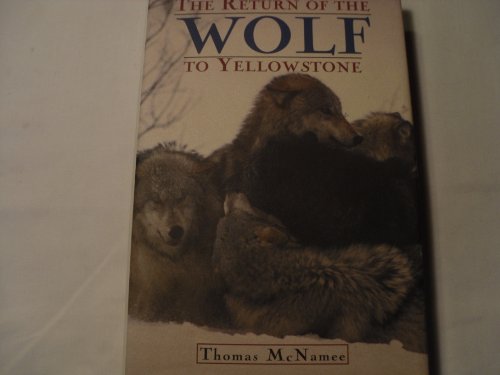 The Return Of The Wolf To Yellowstone