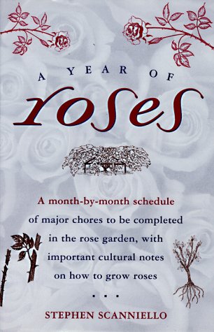 A Year of Roses