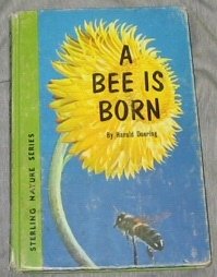 A Bee is Born