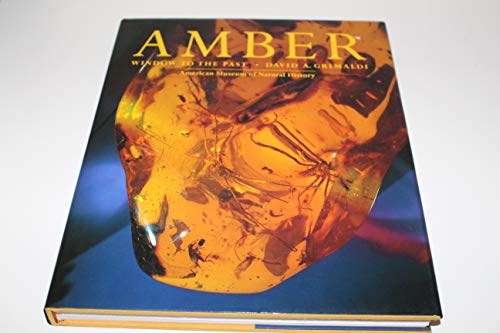 Amber: Window to the Past