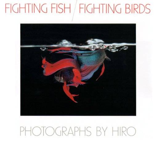 Fighting Fish / Fighting Birds