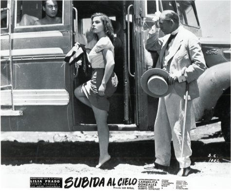 Buñuel 100 Years / 100 Años - It's Dangerous to Look Inside / Es Peligroso Asomarse al Interior