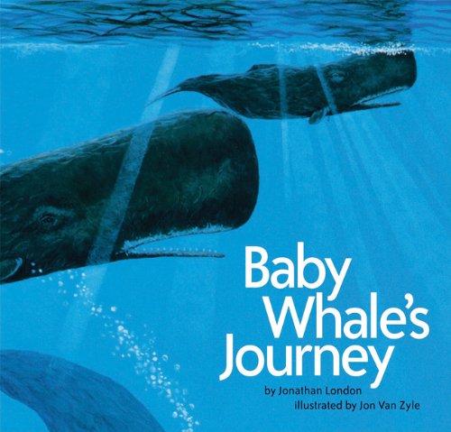 BABY WHALE'S JOURNEY (Signed)