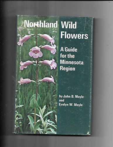 Northland Wild flowers