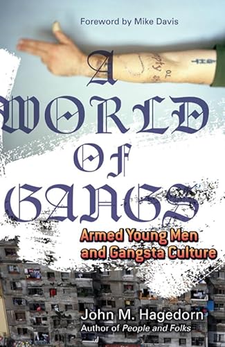 A World of Gangs: Armed Young Men and Gangsta Culture (Volume 14) (Globalization and Community)