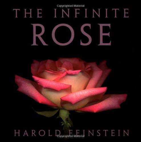 The Infinite Rose