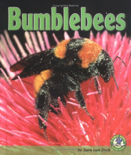 Bumblebees (Early Bird Nature)